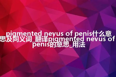 pigmented nevus of penis什么意思及同义词_翻译pigmented nevus of penis的意思_用法