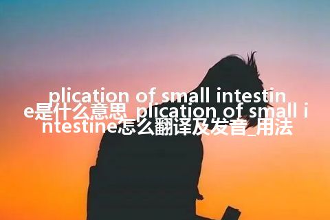 plication of small intestine是什么意思_plication of small intestine怎么翻译及发音_用法