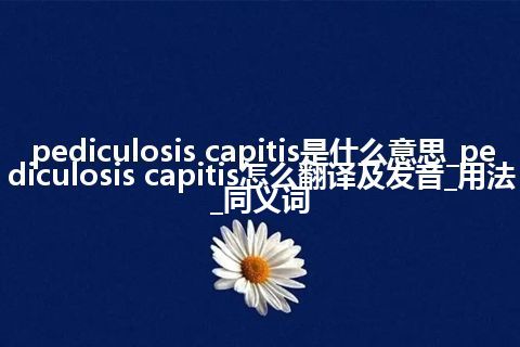 pediculosis capitis是什么意思_pediculosis capitis怎么翻译及发音_用法_同义词
