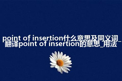 point of insertion什么意思及同义词_翻译point of insertion的意思_用法