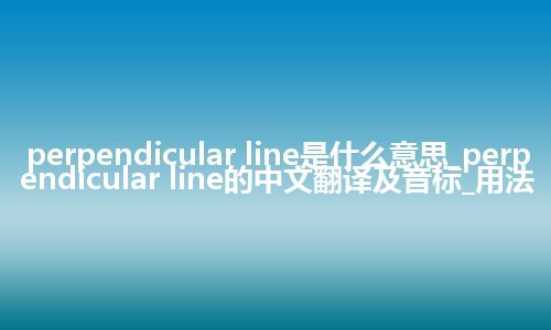 perpendicular line是什么意思_perpendicular line的中文翻译及音标_用法