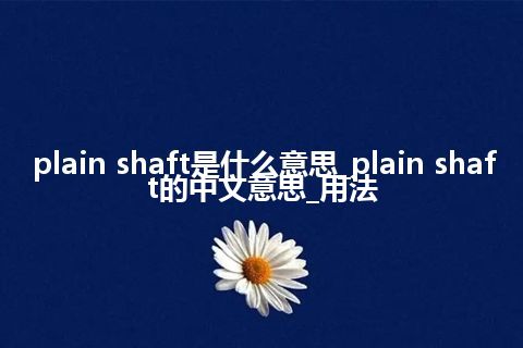 plain shaft是什么意思_plain shaft的中文意思_用法
