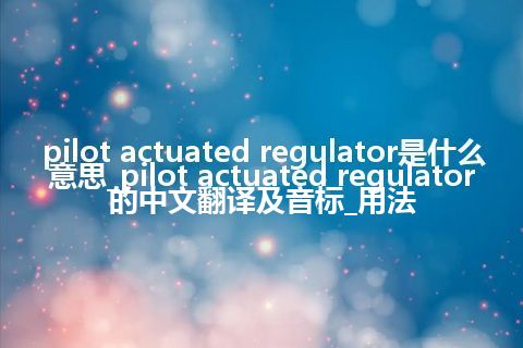 pilot actuated regulator是什么意思_pilot actuated regulator的中文翻译及音标_用法