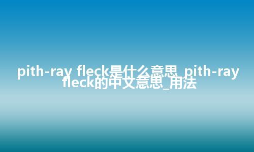 pith-ray fleck是什么意思_pith-ray fleck的中文意思_用法