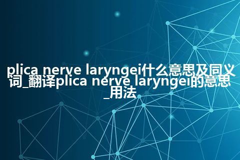plica nerve laryngei什么意思及同义词_翻译plica nerve laryngei的意思_用法