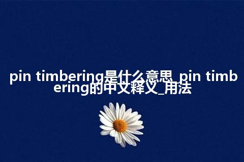 pin timbering是什么意思_pin timbering的中文释义_用法