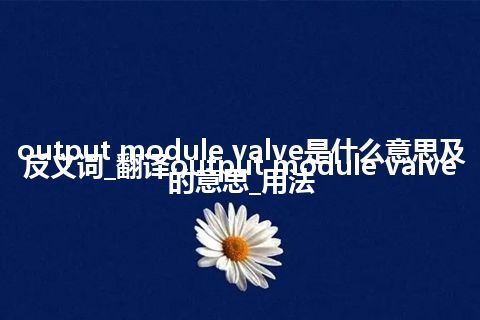 output module valve是什么意思及反义词_翻译output module valve的意思_用法