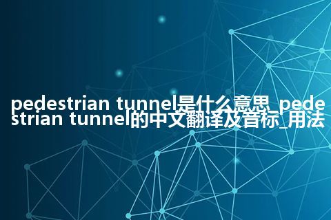 pedestrian tunnel是什么意思_pedestrian tunnel的中文翻译及音标_用法