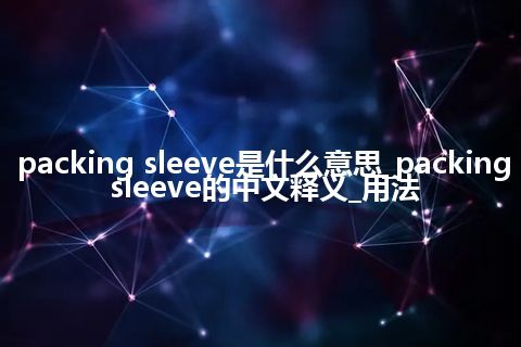 packing sleeve是什么意思_packing sleeve的中文释义_用法