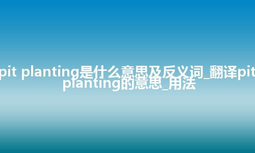 pit planting是什么意思及反义词_翻译pit planting的意思_用法