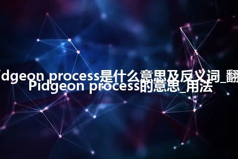 Pidgeon process是什么意思及反义词_翻译Pidgeon process的意思_用法