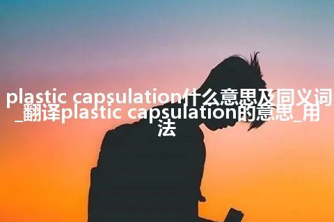 plastic capsulation什么意思及同义词_翻译plastic capsulation的意思_用法