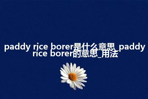 paddy rice borer是什么意思_paddy rice borer的意思_用法