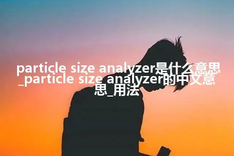 particle size analyzer是什么意思_particle size analyzer的中文意思_用法