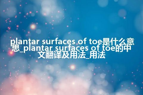 plantar surfaces of toe是什么意思_plantar surfaces of toe的中文翻译及用法_用法