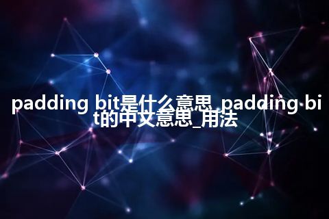 padding bit是什么意思_padding bit的中文意思_用法