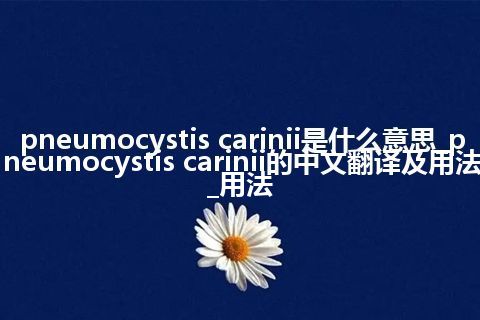 pneumocystis carinii是什么意思_pneumocystis carinii的中文翻译及用法_用法