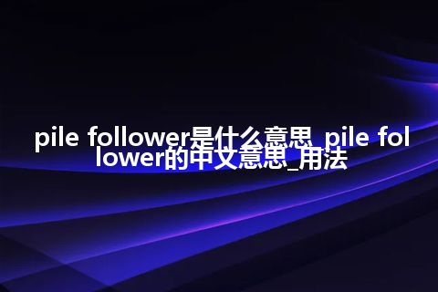 pile follower是什么意思_pile follower的中文意思_用法