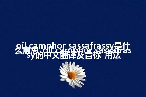 oil camphor sassafrassy是什么意思_oil camphor sassafrassy的中文翻译及音标_用法
