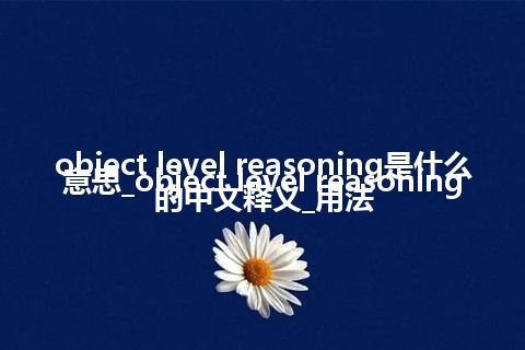 object level reasoning是什么意思_object level reasoning的中文释义_用法
