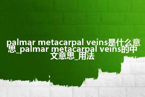 palmar metacarpal veins是什么意思_palmar metacarpal veins的中文意思_用法