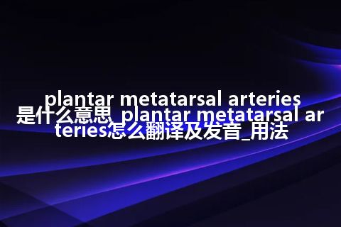 plantar metatarsal arteries是什么意思_plantar metatarsal arteries怎么翻译及发音_用法