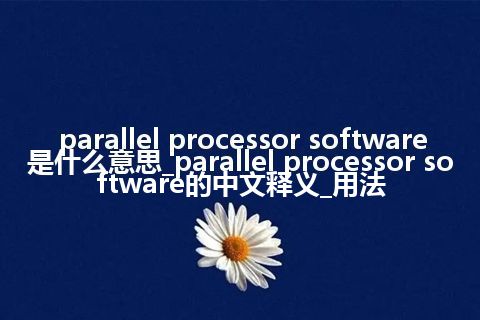 parallel processor software是什么意思_parallel processor software的中文释义_用法