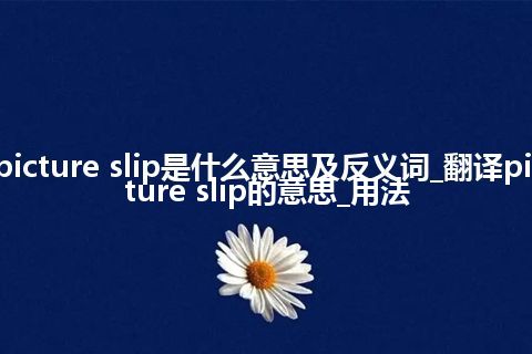picture slip是什么意思及反义词_翻译picture slip的意思_用法