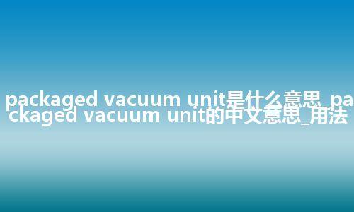 packaged vacuum unit是什么意思_packaged vacuum unit的中文意思_用法