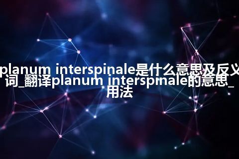planum interspinale是什么意思及反义词_翻译planum interspinale的意思_用法