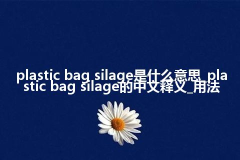 plastic bag silage是什么意思_plastic bag silage的中文释义_用法