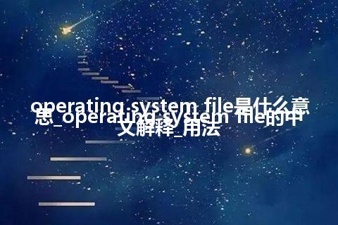 operating system file是什么意思_operating system file的中文解释_用法