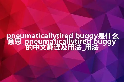 pneumaticallytired buggy是什么意思_pneumaticallytired buggy的中文翻译及用法_用法
