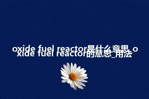 oxide fuel reactor是什么意思_oxide fuel reactor的意思_用法