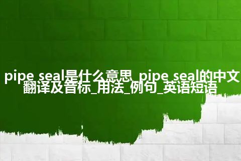 pipe seal是什么意思_pipe seal的中文翻译及音标_用法_例句_英语短语