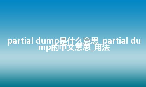 partial dump是什么意思_partial dump的中文意思_用法