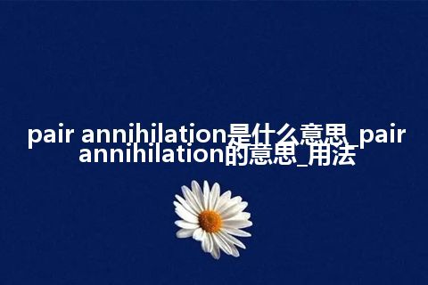 pair annihilation是什么意思_pair annihilation的意思_用法
