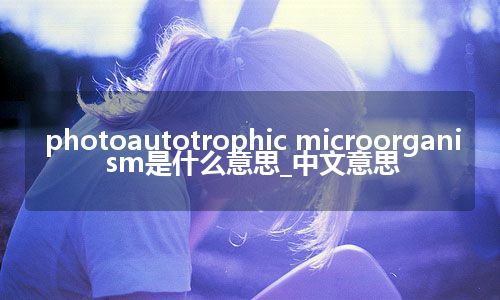 photoautotrophic microorganism是什么意思_中文意思