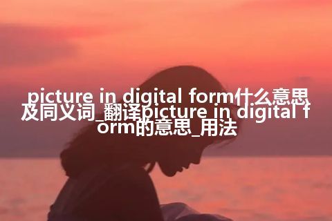 picture in digital form什么意思及同义词_翻译picture in digital form的意思_用法