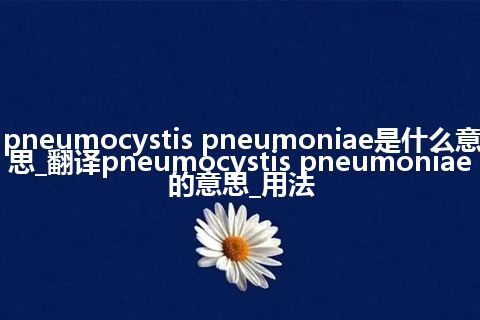 pneumocystis pneumoniae是什么意思_翻译pneumocystis pneumoniae的意思_用法