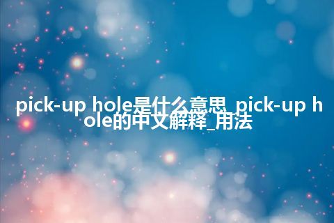pick-up hole是什么意思_pick-up hole的中文解释_用法