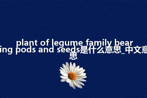 plant of legume family bearing pods and seeds是什么意思_中文意思