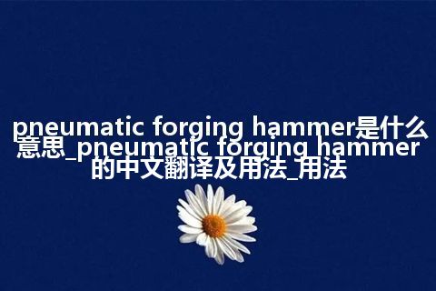 pneumatic forging hammer是什么意思_pneumatic forging hammer的中文翻译及用法_用法
