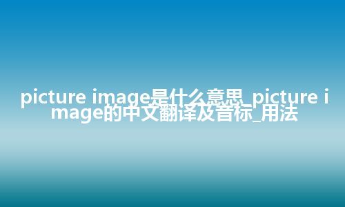 picture image是什么意思_picture image的中文翻译及音标_用法