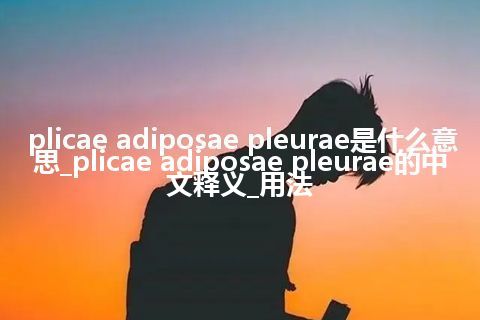 plicae adiposae pleurae是什么意思_plicae adiposae pleurae的中文释义_用法
