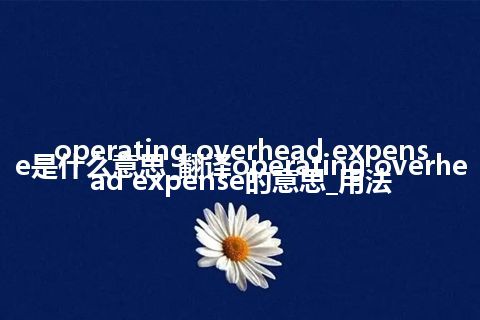 operating overhead expense是什么意思_翻译operating overhead expense的意思_用法