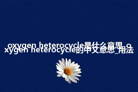 oxygen heterocycle是什么意思_oxygen heterocycle的中文意思_用法