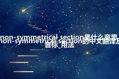 non-symmetrical section是什么意思_non-symmetrical section的中文翻译及音标_用法