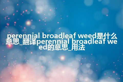 perennial broadleaf weed是什么意思_翻译perennial broadleaf weed的意思_用法