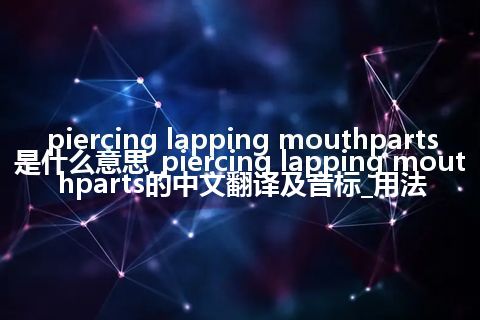 piercing lapping mouthparts是什么意思_piercing lapping mouthparts的中文翻译及音标_用法